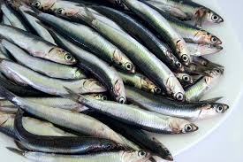 BOQUERON G