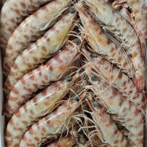 LANGOSTINO TIGRE M