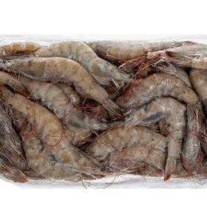 LANGOSTINO VANNAMEI