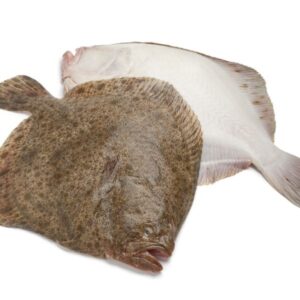 RODABALLO
