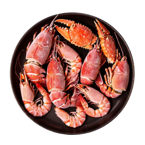 d0fc0181-371e-4371-91b3-bd1ba50d545e-removebg-preview